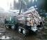 Timberjack 1710