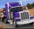 Kamioni Tegljači - tegljačke jedinice Peterbilt 389 58” Low Roof Cummins ISX15