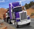 Kamioni Tegljači - tegljačke jedinice Peterbilt 389 58” Low Roof PACCAR MX-13