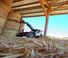Teleskopski utovarivači Manitou MLT 630-115 V Classic