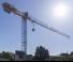 Raimondi T97