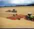 Traktori na gusjenicama Claas Xerion 4500 Trac TS