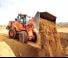 Utovarivači na kotačima Doosan DL250-5