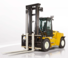 Yale GDP250DF