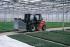 Manitou MSI 20 G Buggi