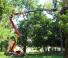 Zglobna podizna platforma Zglobna podizna platforma na gusjenicama Hinowa Lightlift 18.80 Performance IIIS