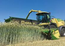 2WD krmni kombajni Krone BiG X 630