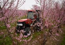 2WD traktori Case IH Farmall 100N