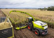 4WD krmni kombajni Claas Jaguar 1200
