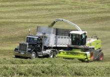 4WD krmni kombajni Claas Jaguar 890