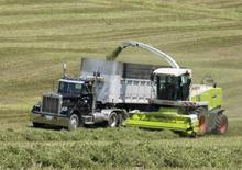 4WD krmni kombajni Claas Jaguar 900