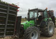 4WD traktori DEUTZ-FAHR Agroxtra 3.57
