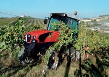 4WD traktori SAME Frutteto 115 