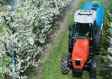 4WD traktori SAME Frutteto³ 80 DT