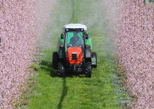 4WD traktori SAME Frutteto³ 100 GS DT