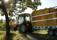 4WD traktori SAME Frutteto³ S 90.3 DT
