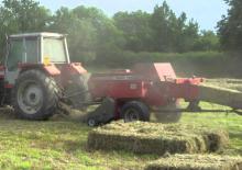 Balirke za četvrtaste bale Massey Ferguson MF 1839