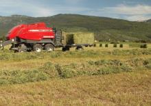 Balirke za četvrtaste bale Massey Ferguson MF 2190 SP