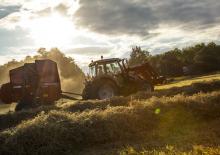 Balirke za okrugle bale Massey Ferguson 2946 A