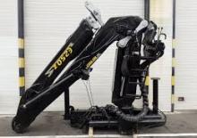 Dizalice za utovar drveta Epsilon E 250 L 82 Plus