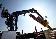 Dizalice za utovar drveta Loglift 251S 95C 