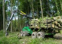 Dizalice za utovar drveta Cranab FC 105 Combi