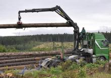 Dizalice za utovar drveta Epsilon S 290 L 109 HPLS