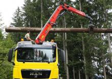 Dizalice za utovar drveta Epsilon S 300 L 83 HPLS