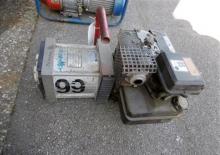 Dizelski generatori Endress ESE 30 YW/MS