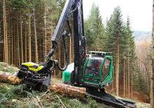Kombajni Neuson Forest 243HVT