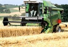 Kombajni DEUTZ-FAHR 5445 H