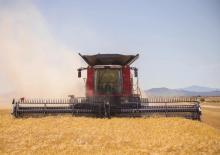 Kombajni Case IH Axial Flow 6160 