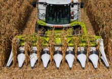 Kombajni berači kukuruza Claas Corio 575 C