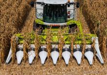 Kombajni berači kukuruza Claas Corio 670 FC