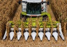 Kombajni berači kukuruza Claas Corio 870 FC