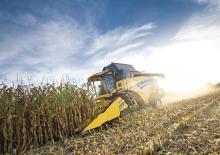 Kombajni berači kukuruza New Holland NH 980CF 6R 75