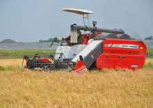 Kombajni Massey Ferguson MF 2168