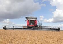Kombajni Massey Ferguson MF 9695