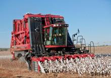 Kombajni Case IH Module Express 635