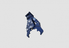 Multi- procesori Daemo DMP230CMS