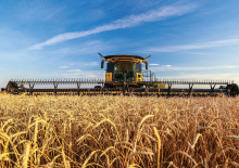 Strojevi za rezanje kombajna New Holland 880CF SuperFlex Draper
