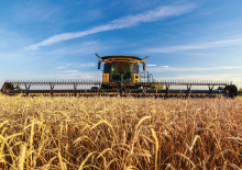 Strojevi za rezanje kombajna New Holland 880CF SuperFlex Draper