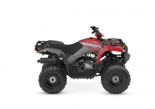Terenska vozila (ATV) i četverocikli Yamaha GRIZZLY 110