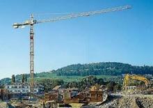 Toranjski kranovi - Grana kolica - Okretna na vrhu Liebherr 100 EL + 12 TS 2,5m