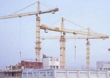 Toranjski kranovi - Grana kolica - Okretna na vrhu Liebherr 224 EC-H (256 HC) GTS+8x4,14**