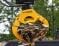 SG2
