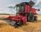 3016 GRAIN